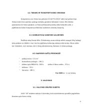 Verslo planas: internetinių paslaugų teikimas UAB "SP" (Skaitmeninis Pasaulis) 12 puslapis