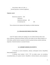 Verslo planas: internetinių paslaugų teikimas UAB "SP" (Skaitmeninis Pasaulis) 13 puslapis