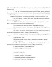 Verslo planas: internetinių paslaugų teikimas UAB "SP" (Skaitmeninis Pasaulis) 14 puslapis