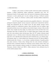 Verslo planas: internetinių paslaugų teikimas UAB "SP" (Skaitmeninis Pasaulis) 3 puslapis