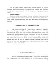 Verslo planas: internetinių paslaugų teikimas UAB "SP" (Skaitmeninis Pasaulis) 6 puslapis