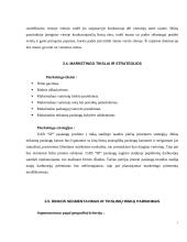 Verslo planas: internetinių paslaugų teikimas UAB "SP" (Skaitmeninis Pasaulis) 7 puslapis