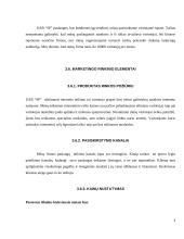 Verslo planas: internetinių paslaugų teikimas UAB "SP" (Skaitmeninis Pasaulis) 8 puslapis