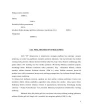 Verslo planas: internetinių paslaugų teikimas UAB "SP" (Skaitmeninis Pasaulis) 9 puslapis