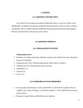 Verslo planas: internetinių paslaugų teikimas UAB "SP" (Skaitmeninis Pasaulis) 10 puslapis