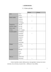 Verslo planas: jogurtų gamyba UAB "Rytas" 5 puslapis