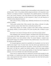 Verslo planas: juodųjų serbentų auginimas IĮ "Juodoji uogytė" 3 puslapis