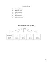 Verslo planas: juodųjų serbentų auginimas IĮ "Juodoji uogytė" 4 puslapis
