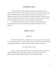 Verslo planas: juodųjų serbentų auginimas IĮ "Juodoji uogytė" 8 puslapis