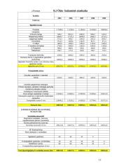 Verslo planas: kaimo sodybos kūrimas 11 puslapis