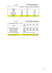 Verslo planas: kaimo sodybos kūrimas 17 puslapis