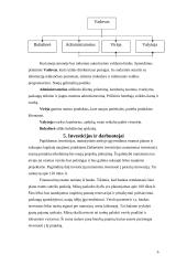 Verslo planas: kaimo sodybos kūrimas 6 puslapis