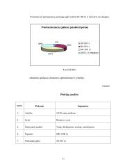 Verslo planas: kaimo turizmo sodyba "Lašelis" 10 puslapis