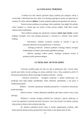 Verslo planas: kaimo turizmo sodyba "Lašelis" 16 puslapis