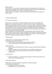 Verslo planas: kaimo turizmo sodyba IĮ "Mano sodyba" 2 puslapis