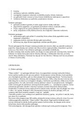 Verslo planas: kaimo turizmo sodyba IĮ "Mano sodyba" 3 puslapis