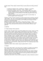 Verslo planas: kaimo turizmo sodyba IĮ "Mano sodyba" 6 puslapis