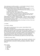 Verslo planas: kaimo turizmo sodyba IĮ "Mano sodyba" 8 puslapis