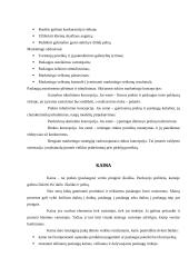 Verslo planas: kaimo turizmo sodyba ir lietuviškų patiekalų restoranas "Pas bajorus dvare" 11 puslapis