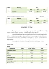 Verslo planas: kaimo turizmo sodyba ir lietuviškų patiekalų restoranas "Pas bajorus dvare" 18 puslapis