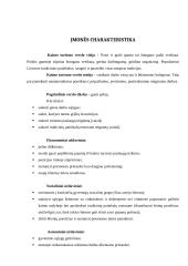 Verslo planas: kaimo turizmo sodyba ir lietuviškų patiekalų restoranas "Pas bajorus dvare" 3 puslapis