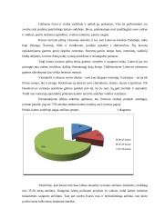 Verslo planas: kaimo turizmo sodyba ir lietuviškų patiekalų restoranas "Pas bajorus dvare" 6 puslapis