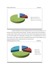 Verslo planas: kaimo turizmo sodyba ir lietuviškų patiekalų restoranas "Pas bajorus dvare" 7 puslapis