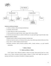 Verslo planas: kavinė UAB "Angelas" 12 puslapis