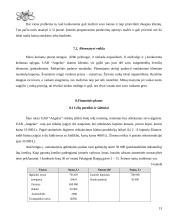 Verslo planas: kavinė UAB "Angelas" 13 puslapis