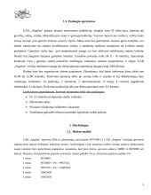 Verslo planas: kavinė UAB "Angelas" 5 puslapis