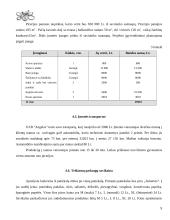 Verslo planas: kavinė UAB "Angelas" 9 puslapis