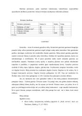 Verslo planas: keramikinių taupyklių, puodelių ir raktų pakabukų gamyba  UAB "Staigmena" 12 puslapis