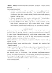 Verslo planas: keramikinių taupyklių, puodelių ir raktų pakabukų gamyba  UAB "Staigmena" 15 puslapis