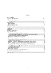 Verslo planas: keramikinių taupyklių, puodelių ir raktų pakabukų gamyba  UAB "Staigmena" 3 puslapis