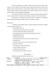 Verslo planas: keramikinių taupyklių, puodelių ir raktų pakabukų gamyba  UAB "Staigmena" 6 puslapis