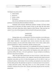 Verslo planas: keramikinių taupyklių, puodelių ir raktų pakabukų gamyba  UAB "Staigmena" 7 puslapis
