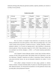 Verslo planas: keramikinių taupyklių, puodelių ir raktų pakabukų gamyba  UAB "Staigmena" 9 puslapis