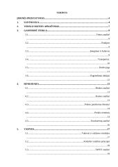 Verslo planas: kilimėlių gamyba UAB "Ergonomika" 2 puslapis