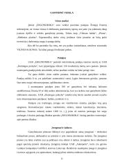 Verslo planas: kilimėlių gamyba UAB "Ergonomika" 11 puslapis