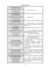 Verslo planas: kilimėlių gamyba UAB "Ergonomika" 14 puslapis