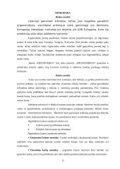 Verslo planas: kilimėlių gamyba UAB "Ergonomika" 15 puslapis