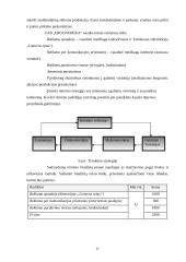 Verslo planas: kilimėlių gamyba UAB "Ergonomika" 17 puslapis