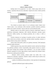 Verslo planas: kilimėlių gamyba UAB "Ergonomika" 19 puslapis