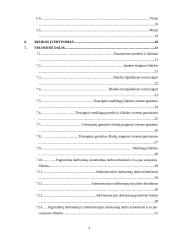 Verslo planas: kilimėlių gamyba UAB "Ergonomika" 3 puslapis