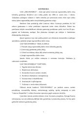 Verslo planas: kilimėlių gamyba UAB "Ergonomika" 7 puslapis