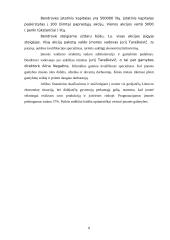 Verslo planas: kilimėlių gamyba UAB "Ergonomika" 8 puslapis