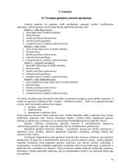 Verslo planas: kompiuterinių stalų įmonė IĮ "Moderna" 13 puslapis