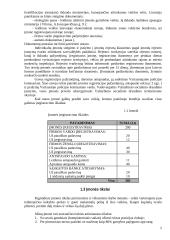 Verslo planas: kompiuterinių stalų įmonė IĮ "Moderna" 4 puslapis