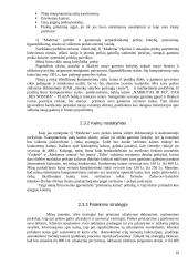Verslo planas: kompiuterinių stalų įmonė IĮ "Moderna" 9 puslapis