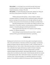 Verslo planas: konditerijos gaminiai UAB "Svaja" 12 puslapis